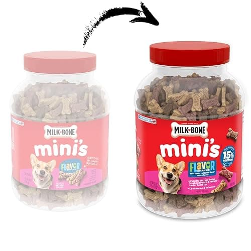 Milk-Bone Flavor Snacks Mini’s Dog Biscuits, Flavored Crunchy Dog Treats, 36 Oz. Canister thumbnail 2