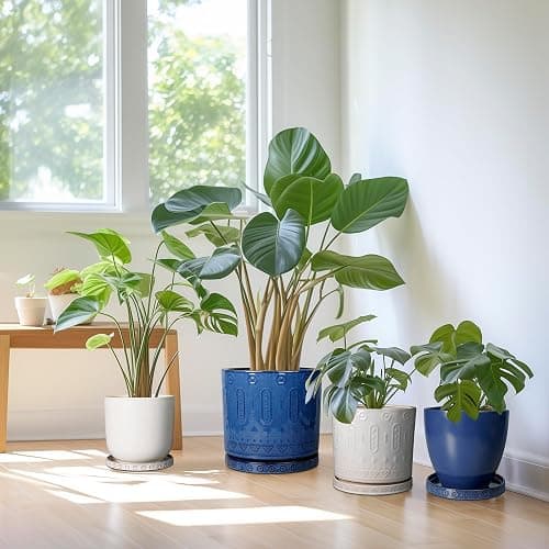 Eightpot Plant Pot Saucer - 11.4 Inch Plant Saucer for Outdoors Ceramic Plant Tray for Indoors No Holes Large Plant Drip Trays Round Flower Pot Saucer Plant Dishes to Catch Water Blue thumbnail 9