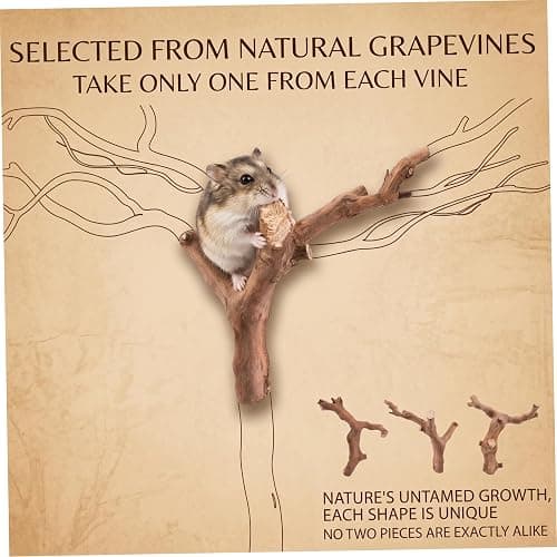 NASSMOSSE 2 Pcs Hamster Toys, Natural Grapevine Climbing Branches Hamster Enrichment Toys, Small Animal Cage Decor & Rat Exploration thumbnail 2