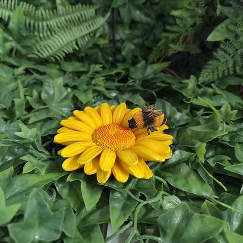 Vivid Arts - Marguerite jaune à suspendre avec abeille – Décoration de jardin à l'intérieur ou à l'extérieur thumbnail 6