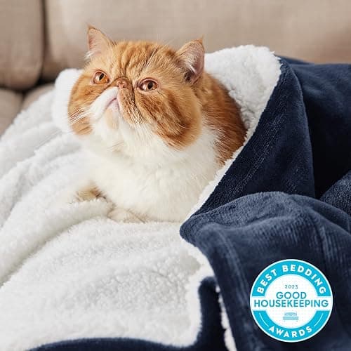 Bedsure GentleSoft Sherpa Fleece Throw Blanket for Couch - Thick and Warm Throw for Women and Men, Soft Fuzzy Plush Blanket for Winter, Navy, 50x60 Inches | Soft, Warm, Plush, Thick, Fuzzy, for Winter, for Couch thumbnail 4