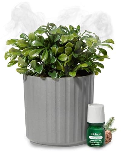 Lifelines Plant Diffuser with Modern Planter, Boxwood - Rechargeable Aromatherapy Diffuser, Artificial Faux Plants Home & Office - ClickWick Essential Oil Blend Included - Image 1