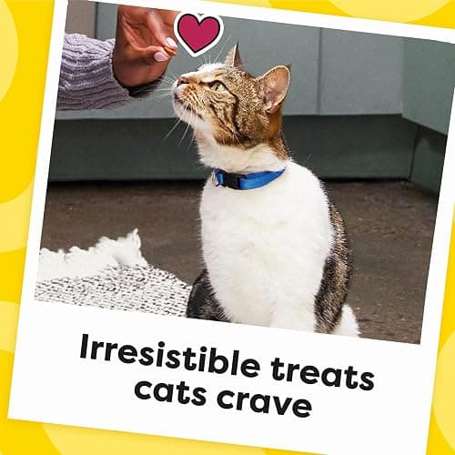 Temptations Cat Treats, Classic Crunchy and Soft Cat Treats, Seafood Medley Flavor, 30 oz. Tub thumbnail 10