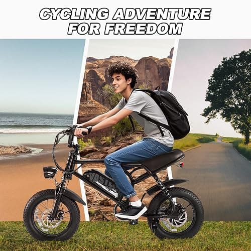 VDL Mountain Electric Bike for Teens/Adults, 16" Fat Tire Ebike, Wider Seat 500W Peak Motor with Removable Battery, 20MPH, UP to 35 Miles Mountain Bike, Teenagers ebike for Leisure Riding&Commuting thumbnail 8