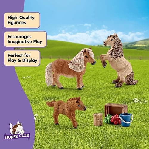 Schleich Horse Club - 8 PC Miniature Shetland Pony Family Playset - Mare, Stallion, and Baby Mini Horse Figurines and Accessories - Realistic Equestrian Toys for Girls and Boys Ages 5+ | 41432 thumbnail 4