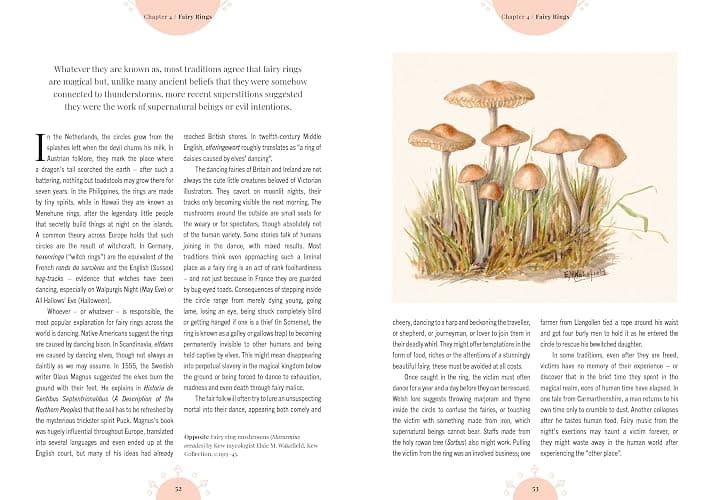 Kew - The Magic of Mushrooms: Fungi in folklore, superstition and traditional medicine (Royal Botanic Gardens, Kew) thumbnail 8
