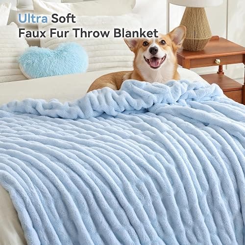 Smoofy Light Blue Throw Blanket for Couch – Ultra Soft Cozy Plush Fluffy Blanket with Faux Rabbit Fur, Fuzzy Lightweight Fleece for Sofa, Bed & Office, Gift for Women, Home Room Decor Throw 50"x 60" thumbnail 3