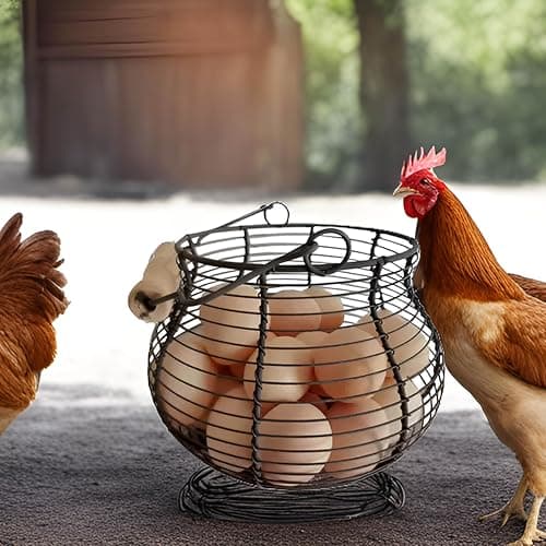 LINCOUNTRY. Farmhouse Wire Egg Baskets for Gathering Fresh Egg With Handle, Round Metal Chicken Basket Collecting Fresh Egg Holder, Vintage Style for Countertop Kitchen thumbnail 2