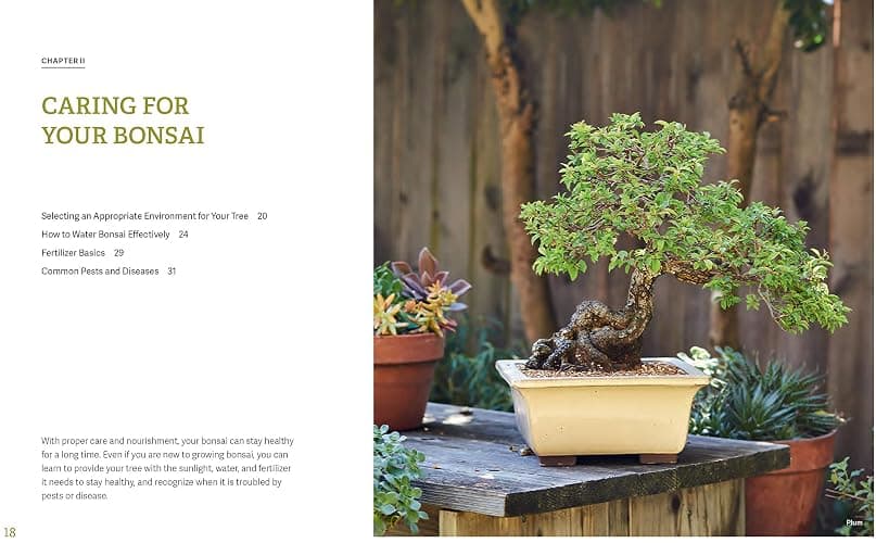 The Little Book of Bonsai: An Easy Guide to Caring for Your Bonsai Tree thumbnail 3