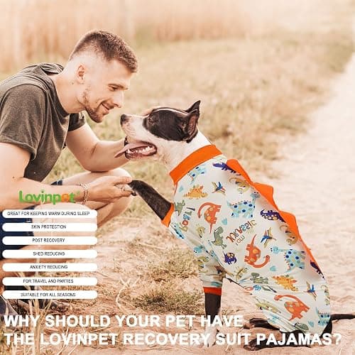 LovinPet Dog Pajamas Large Sized Dog, Anti Licking, Recovery Suit, Lightweight Jurassic Knit, UV for Large Dogs/XXL thumbnail 7