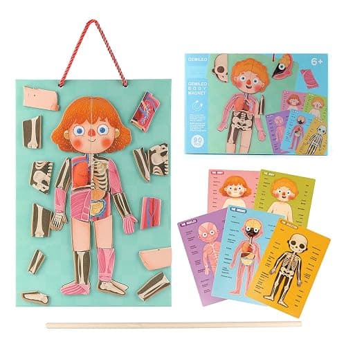 Human Body Puzzle for Kids Toddlers 90PCS Magnetic Boy Girl Anatomy Play Set Body Parts Organs Muscles Skeleton and Bones Wooden Puzzle Toys Aged 3+ Educational Learning Preschool Toys - Image 1