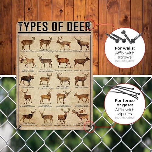 HYBLOM Hunting Decor Types Of Deer Poster, Vintage Metal Signs 8x12 Inches | Wildlife Wall Art for Cabin Man Cave Nursery Hunting Room, Deer Hunting Gifts for Hunters Men Boys, Waterproof Aluminum thumbnail 7