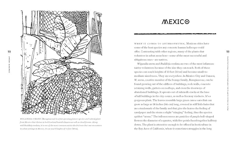 Concrete Botany: The Ecology of Plants in the Age of Human Disturbance thumbnail 2