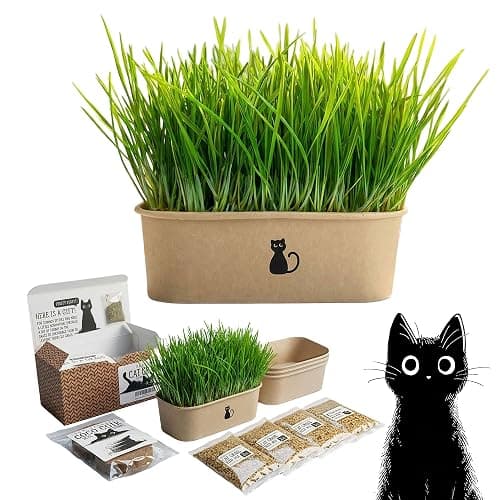 Cat Grass Grow Kit — 4-Batch Indoor Growing Set with Containers, Soil Disks & Seeds | Supports Digestion & Hairball Control | Ready to Grow, No Mess - Image 1