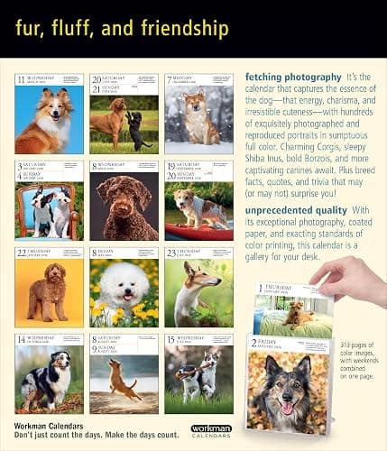 Dog Page-A-Day® Gallery Calendar 2026: An Elegant Canine Celebration thumbnail 2