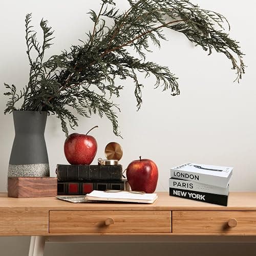 Decorative Books for Home Decor 3pcs Fake Book Simulation Book Ornament Modern Style Fake Display Books for Home Coffee Table thumbnail 2