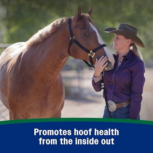 Farnam Horseshoer's Secret Pelleted Hoof Supplement for horses promotes healthy hoof growth, 11lb., 30 day supply thumbnail 3