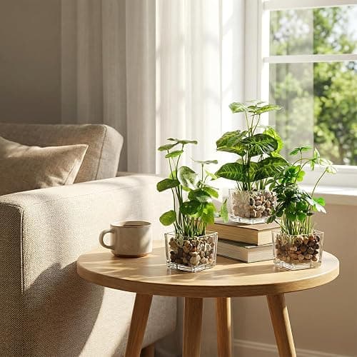 MyGift Set of 3 Fake Plants, Small Artificial Potted Plants Indoor in Clear Glass Pot, 9.5 Inch Faux Plant for Home Decor thumbnail 2