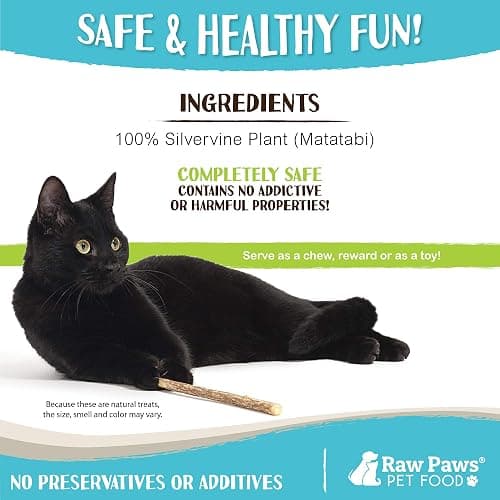 Raw Paws Silvervine Sticks for Cats (30-Count) - Dental Cat Chew Stick | Catnip Alternative - Matatabi Cat Toy - Silver Vine Sticks - Indoor Cat Enrichment & Chewing thumbnail 4