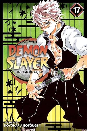 Demon Slayer: Kimetsu no Yaiba, Vol. 17 - Image 1