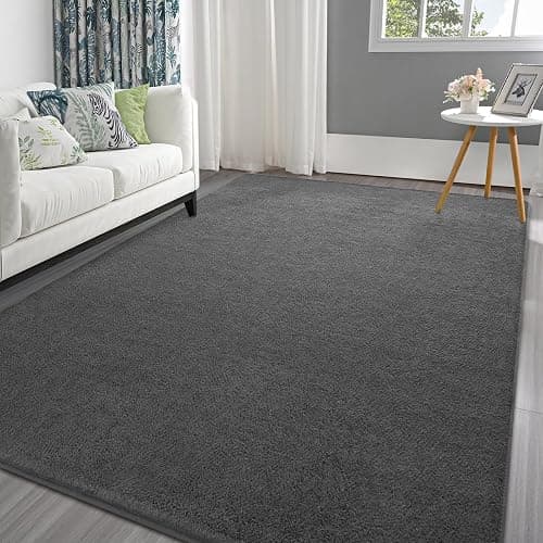 Pettop 4x6 ft Dark Grey Area Rugs for Bedroom Living Room, Washable Memory Foam Indoor Carpet, Modern Aesthetic Minimalist Non Slip Soft Comfy Carpet for Boys Girls Dorm Home Decor - Image 1