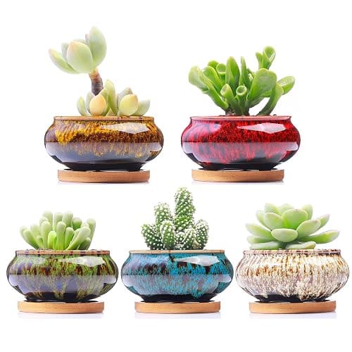 LamDawn Cute Ceramic Succulent Garden Pots, Planter with Drainage and Attached Saucer, Set of 5 -Plants Not Included (Burner) - Burner - Image 1