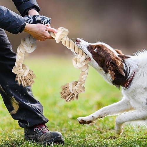 Fida Dog Rope Toys for Large/Medium Aggressive Chewers, Tough Cotton Chew Toy, 3 Feet 5 Knots Indestructible, Tug of War Dog Pull Rope Teeth Cleaning thumbnail 7