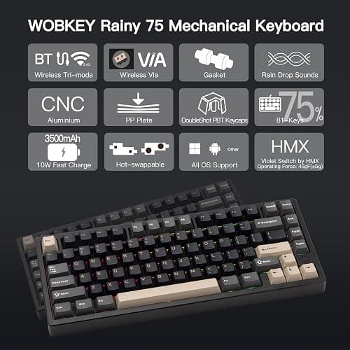 KEEBMONKEY WOBKEY Rainy 75 CNC Aluminum HMX/JWK/Cocoa Switches Triple-Mode Connectivity Mechanical Keyboard with Superior Acoustics, RGB/PP/Gradient Glass/3500mAh/Violet Switch (Standard - Black) thumbnail 2