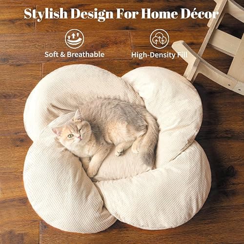 CHEERHOME PETS Elevated Cat Bed Wooden with Cushion Fluffy Pet Couch Sofa for Indoor Cats Raised Kitty Lounge Chair Suitable for Puppy, Cat Furniture(White) thumbnail 2