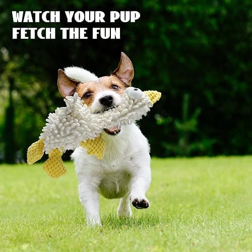 Nocciola 5 Packs Squeaky Dog Toy Plushies, Cute Soft Squeak Crinkle Plush Stuffed Durable Pet Animal Chew Puppy Toys for Small Meidum Large Breed thumbnail 7