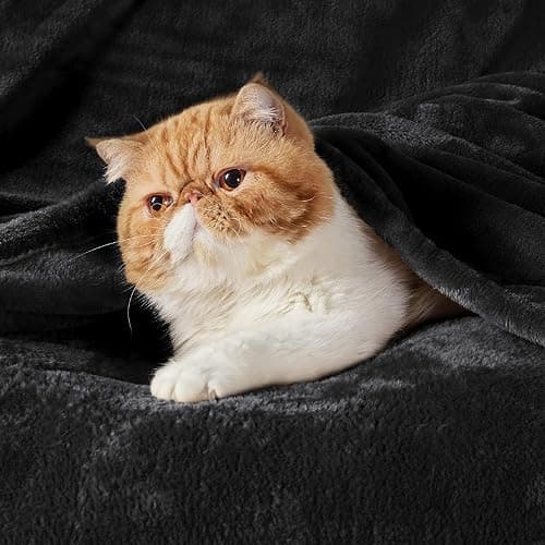 Bedsure Fleece Blankets King Size Black - Bed Blanket Soft Lightweight Plush Cozy Fuzzy Luxury Microfiber, 108x90 inches - Black - King (108" x 90") thumbnail 4