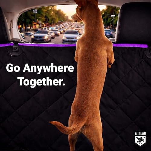 Platinum Shield Dog Car Seat Cover for Back Seat, Waterproof, Scratchproof, Nonslip, Dog Hammock for Car, Safety Harness Included, Seat Covers for Pet Dogs, Truck & SUV Size (Black/Purple) thumbnail 6