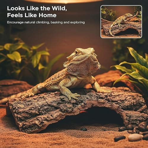 4pcs Reptile Bark Decor Wood,Natural Cork Bark, Bark Cork Hides Water Bark Flats Decor,Reptile Bark Cork Wood Bark Terrarium for Bearded Dragon Lizard Geckos Tortoise Random Shape Random Size Deliver thumbnail 3