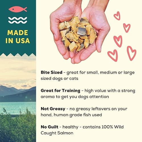 A Better Treat – Freeze Dried Salmon Dog Treats, Wild Caught, Single Ingredient | Natural High Value | Gluten Free, Grain Free, High Protein, Diabetic Friendly | Natural Fish Oil | Made in The USA thumbnail 4
