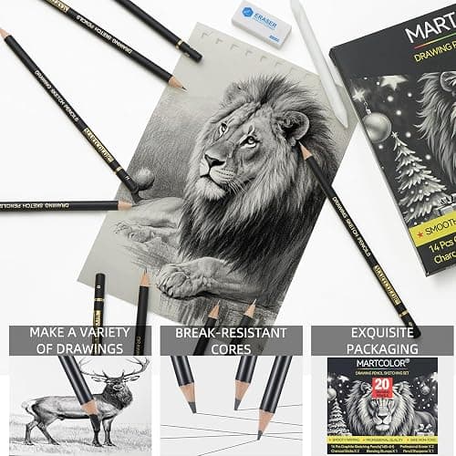 MARTCOLOR Drawing Sketching Pencil Set, 20 Pieces, Graphite Pencils (14B-4H), Charcoal Sticks, Stump, Eraser, Sharpeners, Ideal for Drawing Art, Sketching, Artist Pencils for Beginners & Pro Artists thumbnail 3