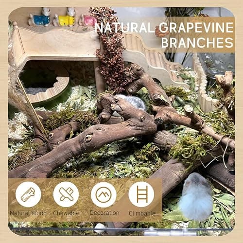 kathson 2PCS Wood Hamster Climbing Branches Decor, Natural Wooden Syrian Hamster Climb Chewing Toys, Rat Exercise Toys, Small Animal Habitat Decor Accessories for Dwarf Pets, Gerbils, Mice (5.9 in) thumbnail 2