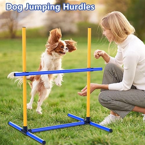 AHAILUOO Adjustable Dog Agility Jump Set – Training Hurdles with Height Adjustable Bars, Portable Design with Carry Bag for Indoor & Outdoor Agility Courses (2 Pack) thumbnail 4