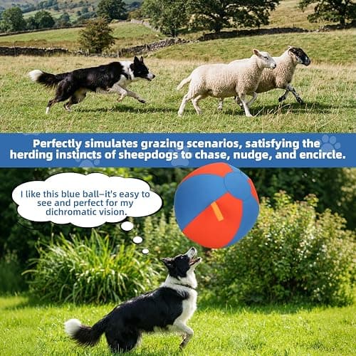 Deerift 18" Herding Ball for Dogs - Upgraded Material, Durable Dog Training Toy, Suitable for Border Collies, Australian Shepherds, and Other Medium to Large Herding Dog Ball thumbnail 7