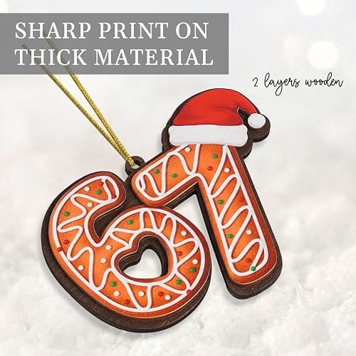 67 Meme Funny Christmas Ornaments 2025, 6 7 Ornament, Gingerbread Ornaments for Christmas Tree, Funny Ornament for Exchange, Stocking Stuffers, Gag Gifts, 67 Gifts for Kids, Teens, Teen Girls, Boys thumbnail 4