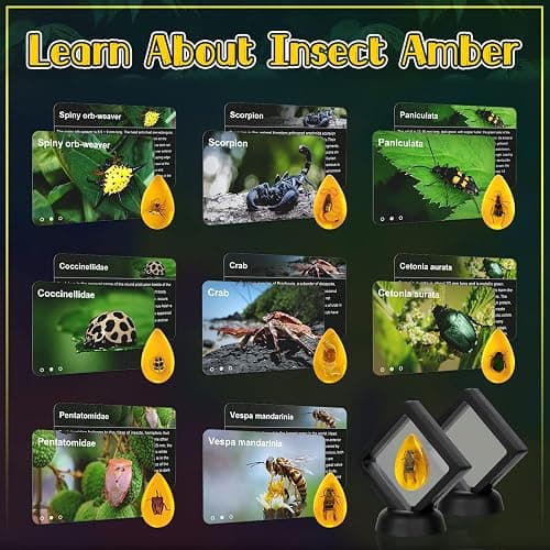 Bigger Amber Dig Kit - 8 Different Artificial Insect Resin,Excavate Unique Insect Specimens,Bugs Toys Educational Science Kits Toys for Kids,STEM Projects Gift for Girls & Boys Age 6-8-12-14 Year Old thumbnail 5
