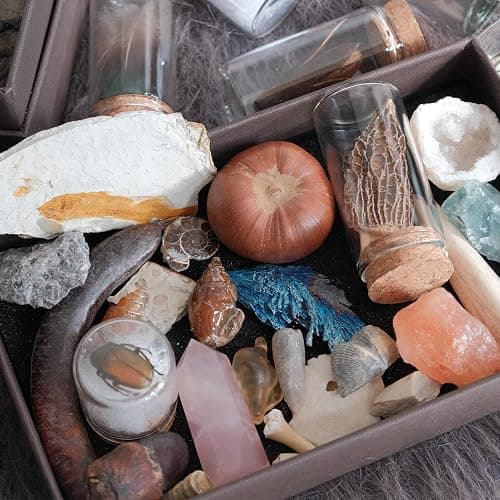 10Pcs Mystery Natural Oddities Collection Box - Real Fossils, Crystals & Taxidermy in Glass Vials | Dark Academia Decor for Adults & Kids | Witchy Curio Cabinet Decor | Unique Gifts for Science Lovers thumbnail 4