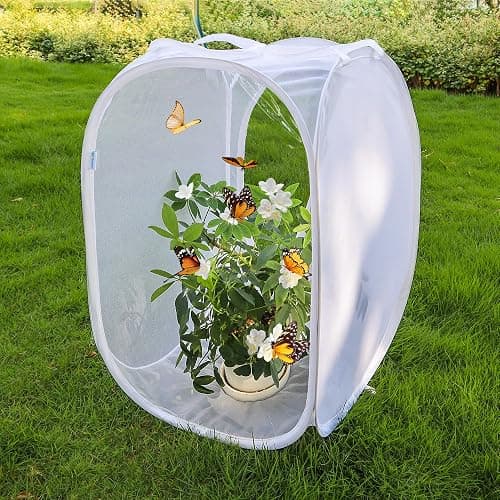 Pop-up Insect and Butterfly Habitat Cage Terrarium Clear Mesh Enclosure - 16" x 16" x 24" thumbnail 2
