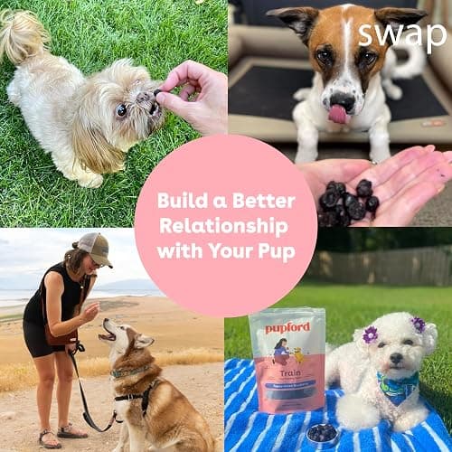 Pupford Freeze Dried Training Treats for Dogs & Puppies, 425+ One Ingredient Bites (Blueberry, 2 oz) thumbnail 6