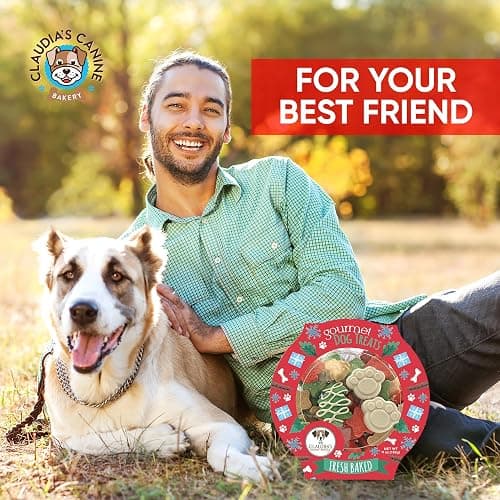 Santa Paws Classic Gourmet Dog Cookies - Vanilla Flavored Christmas Treats for All Breeds and Sizes thumbnail 6