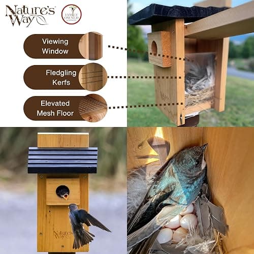Nature's Way Bird Products CWH4 Cedar Bluebird Viewing House thumbnail 4