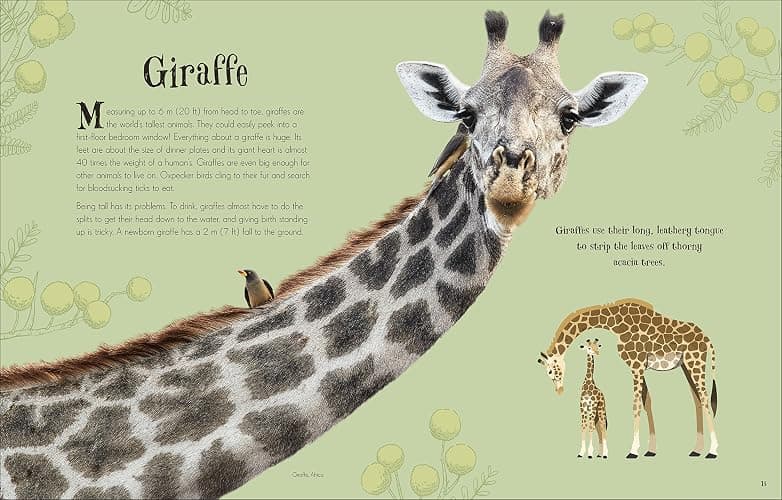Anthology Of Intriguing Animals thumbnail 5