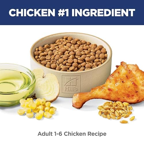 Hill's Science Diet Adult 1-6, Adult 1-6 Premium Nutrition, Dry Cat Food, Chicken Recipe, 7 lb Bag thumbnail 3
