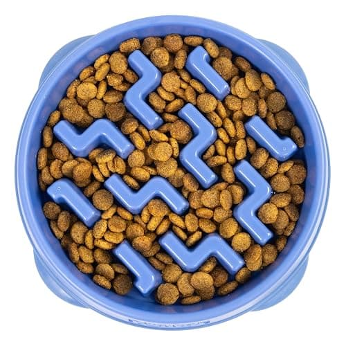 Outward Hound Medium Slow Feeder Bowl, Puzzle Maze for Fast Eaters, Small to Medium Dogs, Helps Prevent Bloat & Aid Digestion, Holds 2 Cups Wet or Dry Food, Non-Slip, Made Without BPA, Blue - Image 1
