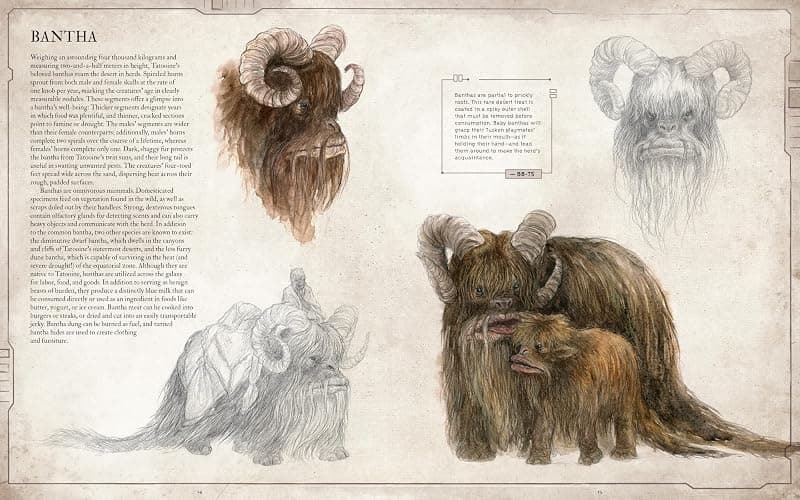Star Wars Bestiary, Vol. 1 thumbnail 3
