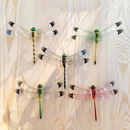 Arsnature 5 Colors Large-Sized Realistic Refrigerator Magnets Dragonfly, Fake Dragonflies, Fridge Magnet, Dragonfly Decor, Dragonfly Garden Decor, Dragonfly Gifts for Women - Image 1